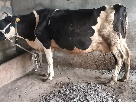 थंबनेल 3