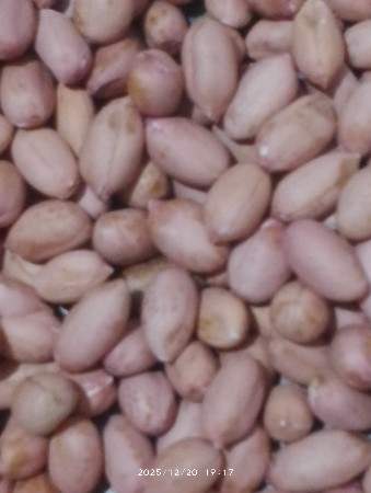 ગિરનાર 4 માંડવી વહેંચવાની છે