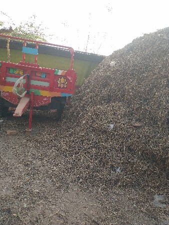 માંડવી નો ભુકો  વેચવાનો છે