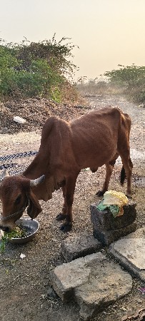 थंबनेल 2