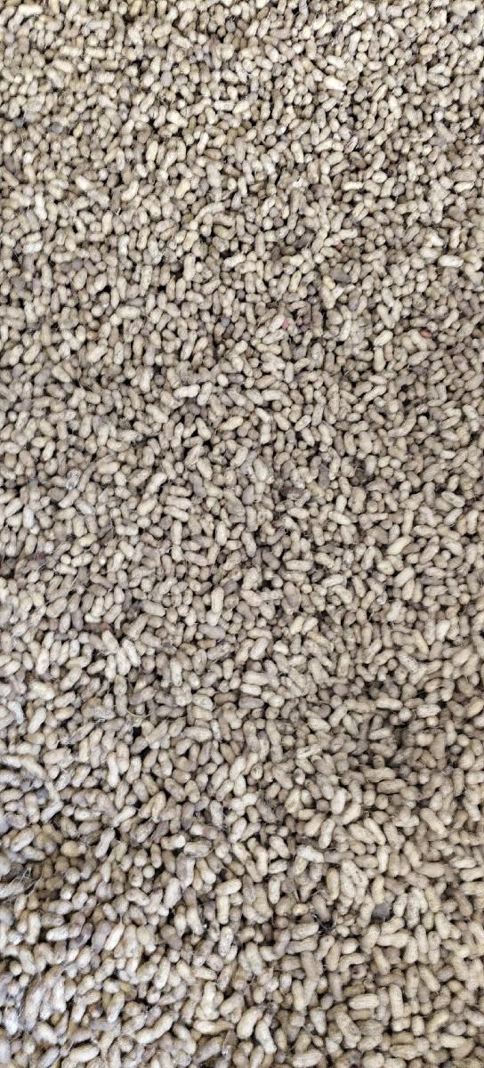 थंबनेल 1