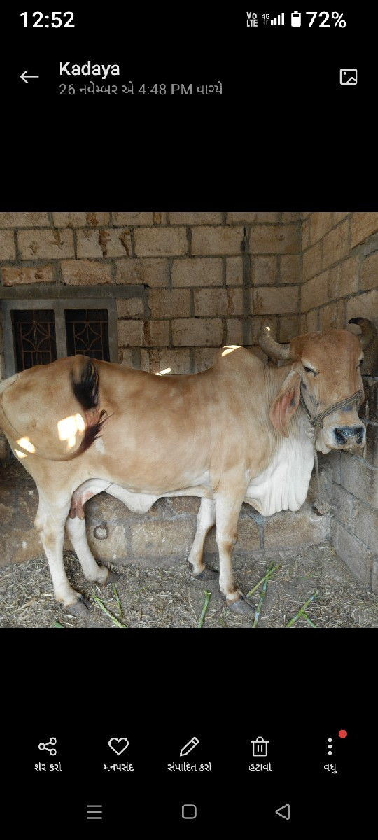 थंबनेल 2