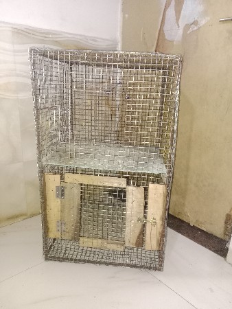 થંબનેલ 3