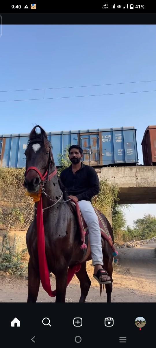 થંબનેલ 3