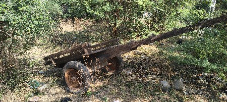 જામનગર માં લેવા આવુ પટે