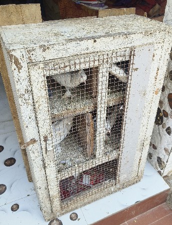 थंबनेल 2