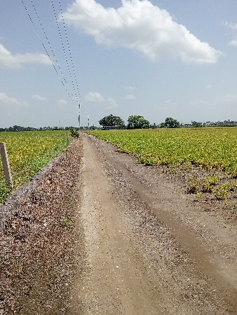 વાડી વેચવાની છે