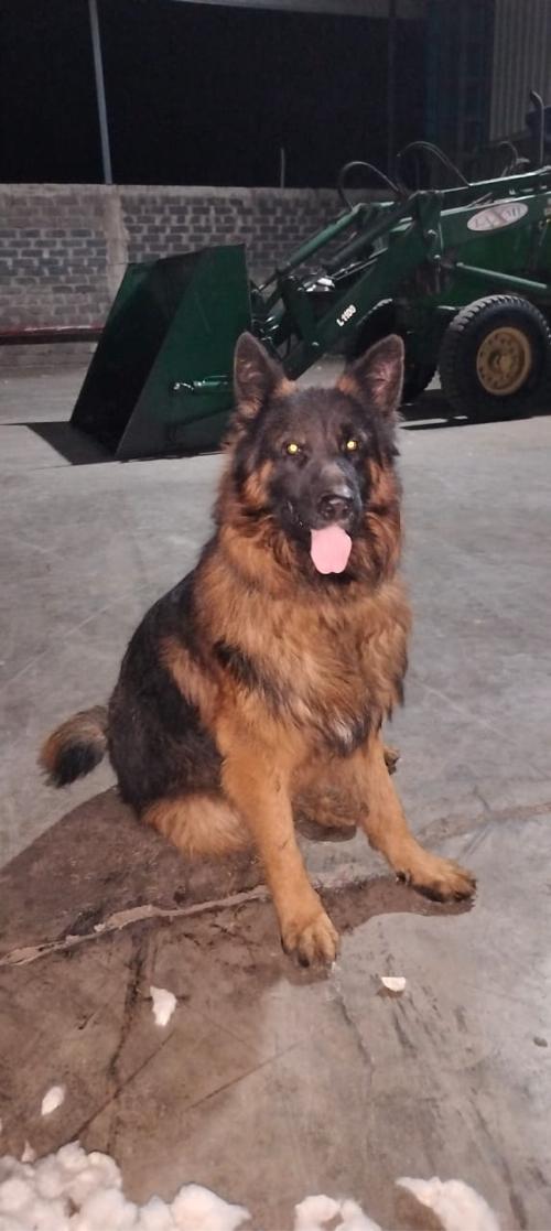 थंबनेल 3