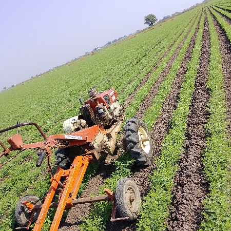 વેસ વાનું સે