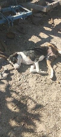 થંબનેલ 3