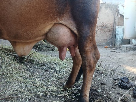 थंबनेल 2