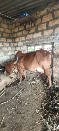 थंबनेल 2