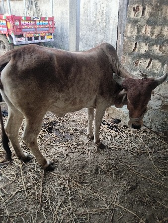 થંબનેલ 3