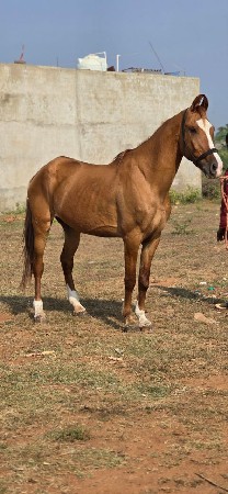 થંબનેલ 2