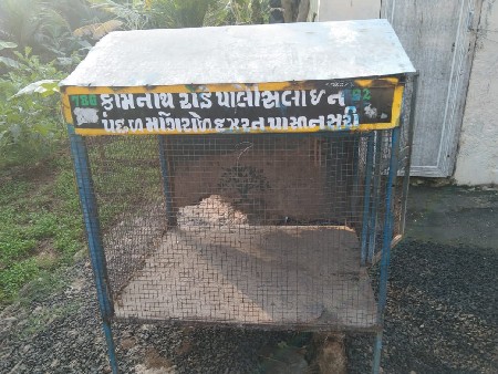 મુરઘા નુ પાંજરૂ વેચવાનુ છે