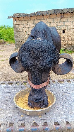 જાફરી ખડાઈ વેચવાની છે