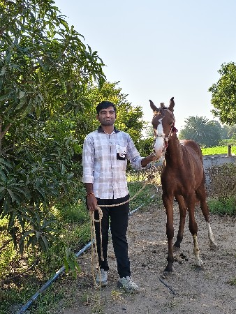 થંબનેલ 3