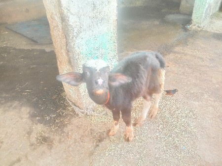 थंबनेल 5