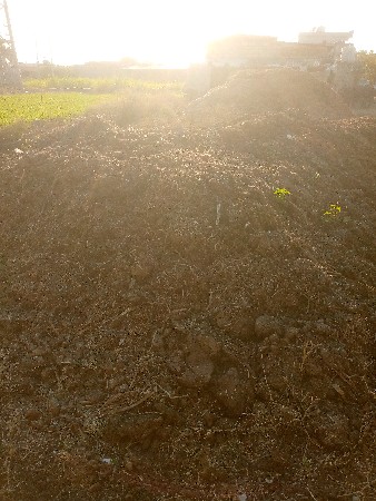 દેશિ ખાતર