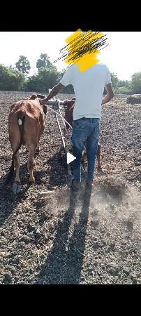 थंबनेल 1