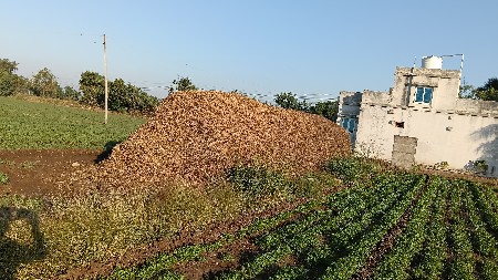 જી૨૦ માડવીનો ભુકો.