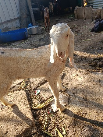 थंबनेल 2