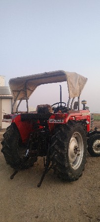 થંબનેલ 4