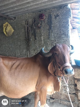 थंबनेल 2