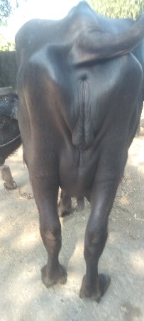 थंबनेल 3