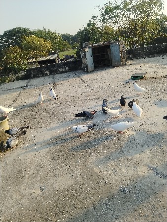 थंबनेल 2