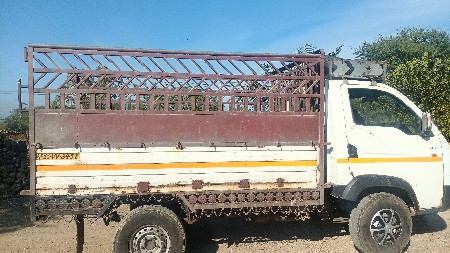 થંબનેલ 2