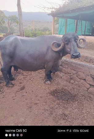 थंबनेल 2