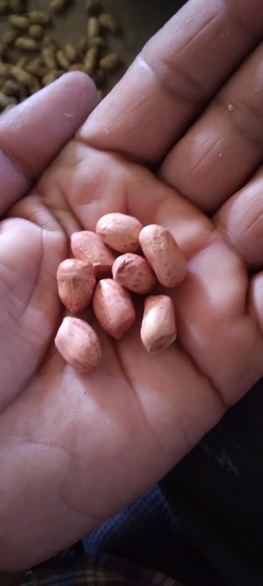 થંબનેલ 3