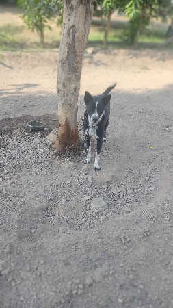 થંબનેલ 2