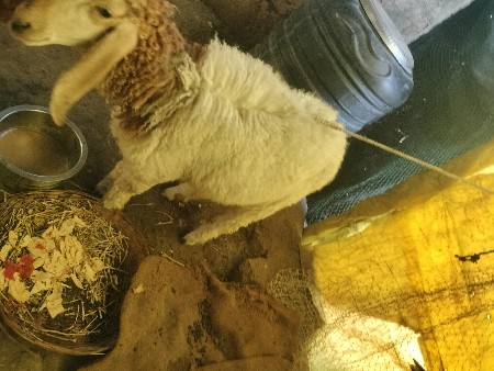 થંબનેલ 2