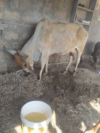 थंबनेल 3