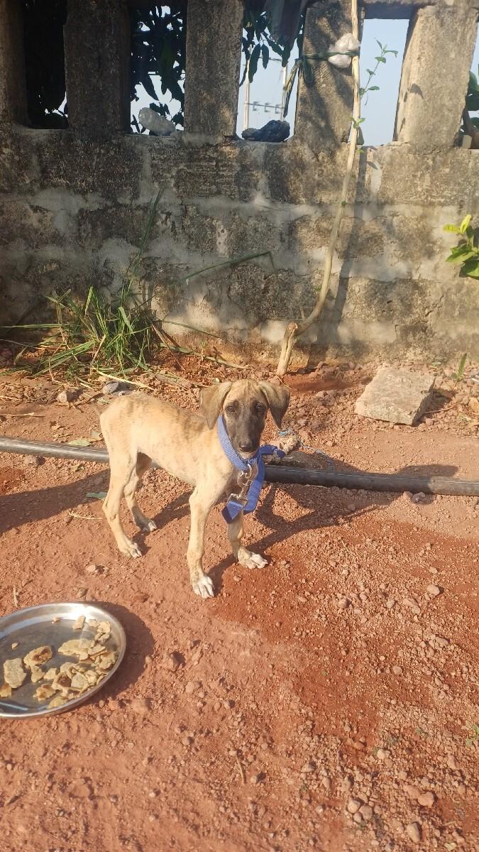 થંબનેલ 3