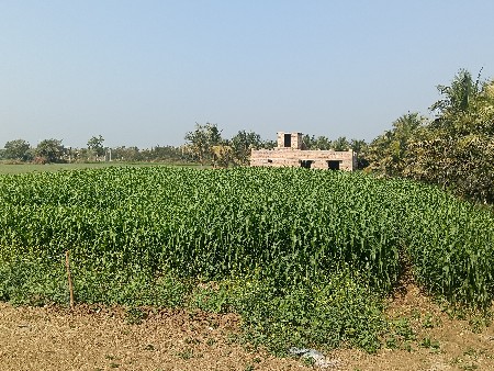 થંબનેલ 3