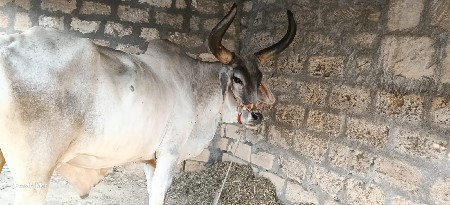 थंबनेल 2