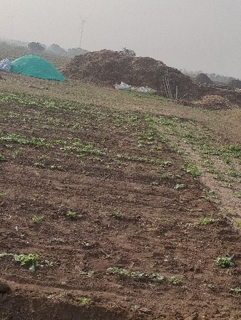 થંબનેલ 1