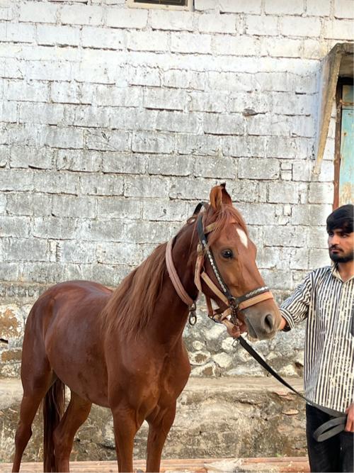 थंबनेल 2