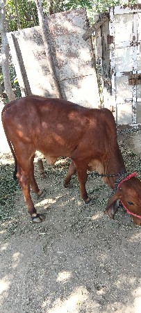 थंबनेल 3