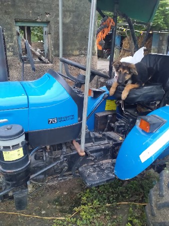 captain 20hp mini tractor