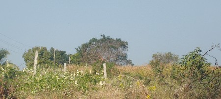 હાઈવે ટચ જમીન વેચવાની છે