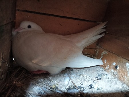 थंबनेल 3