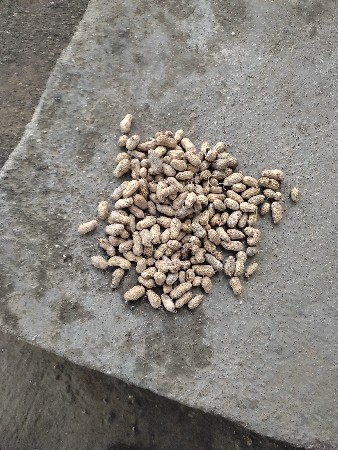 મગફળી વેચવા ની છે  20 નબર છે