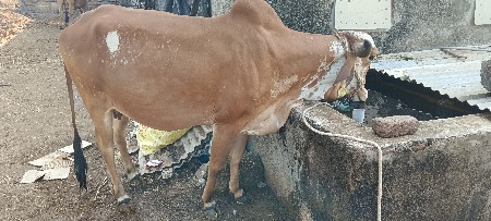 थंबनेल 2