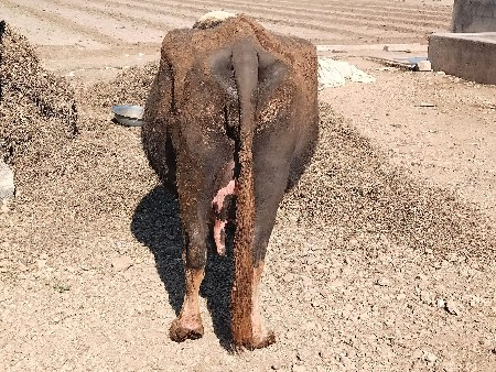 થંબનેલ 3