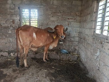 થંબનેલ 2