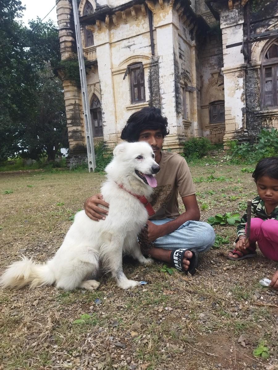 થંબનેલ 2